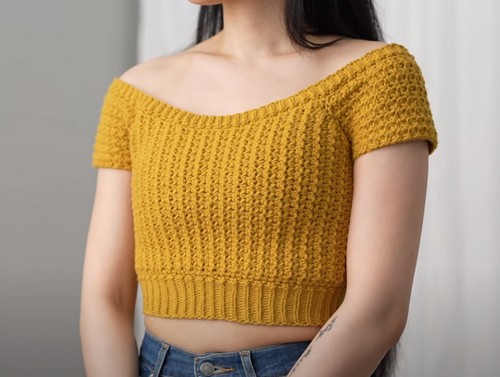 Crochet The Shoulder Crop Top 1
