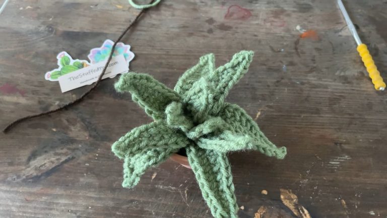 How To Crochet Aloe Vera Plant Step By Step Pattern