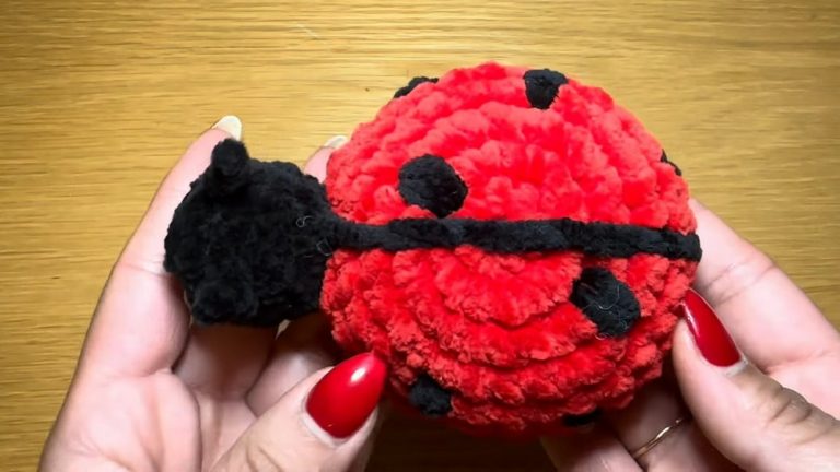 Step By Step Guide toCrochet Amigurumi Ladybird Pattern